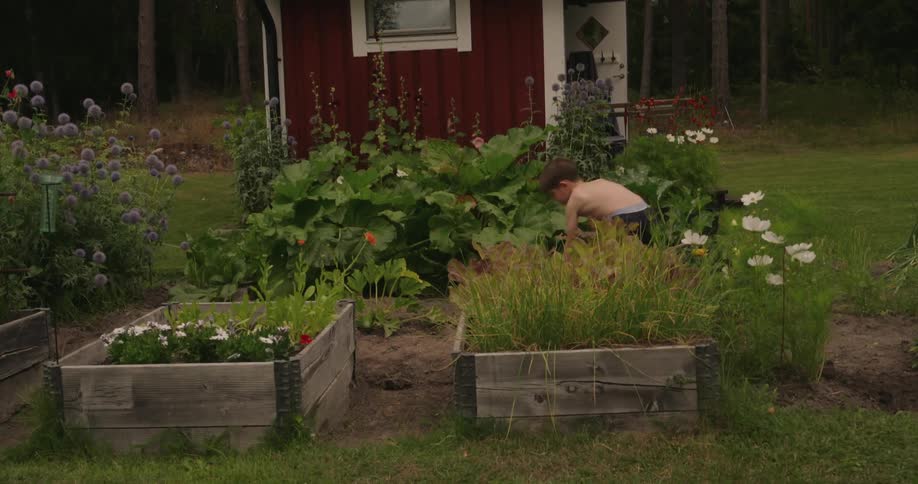 A child is working in the garden