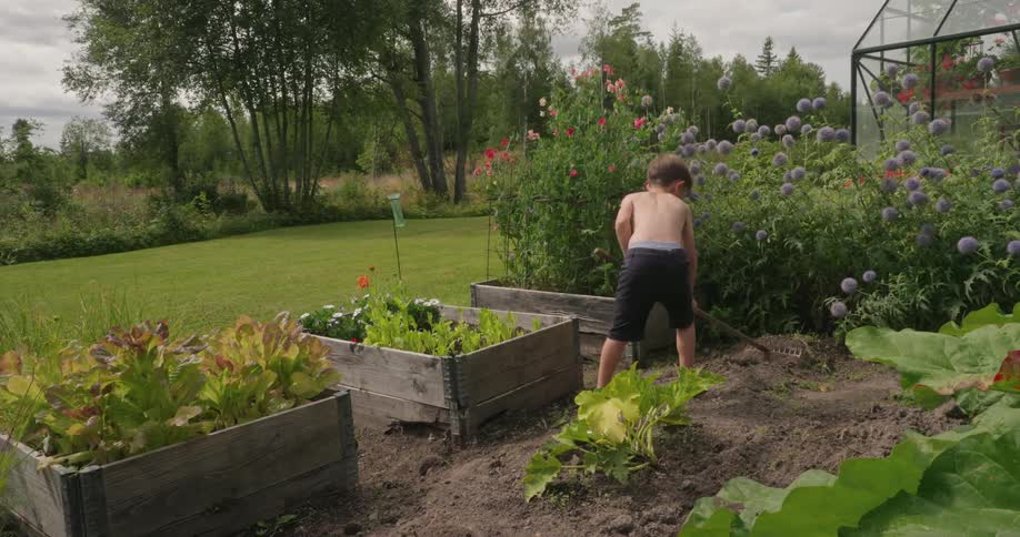 A shirtless boy rakes dirt in a garden