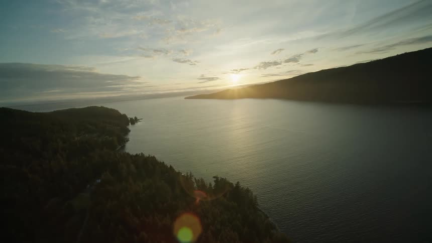 Forest surrounds a coastal residential neighborhood while the sun sits on the horizon
