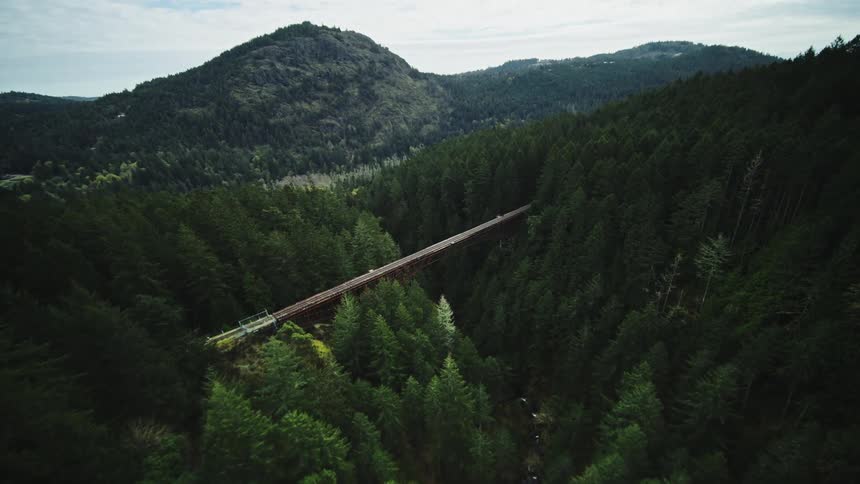 A railroad bridge spans a valley filled with forests and a river near a mountain range