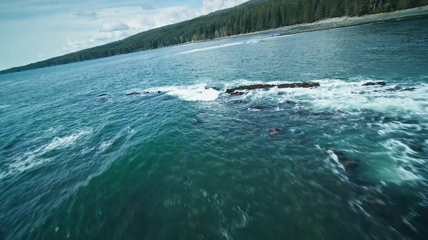 Aerial panorama of a rocky coastline with a dancing coniferous forest on the seashore