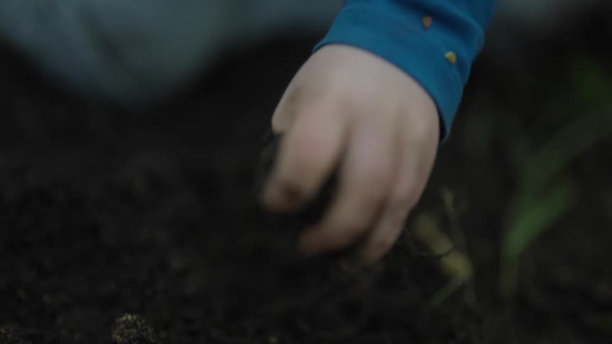 A child grabs a handful of soil