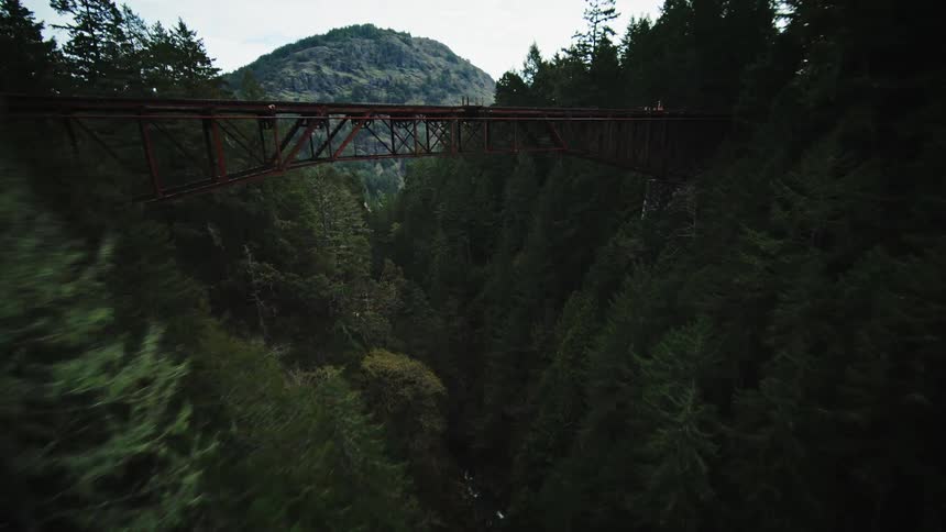 Flying through a valley forest and passing under a railway bridge then turning around and flying back over the bridge