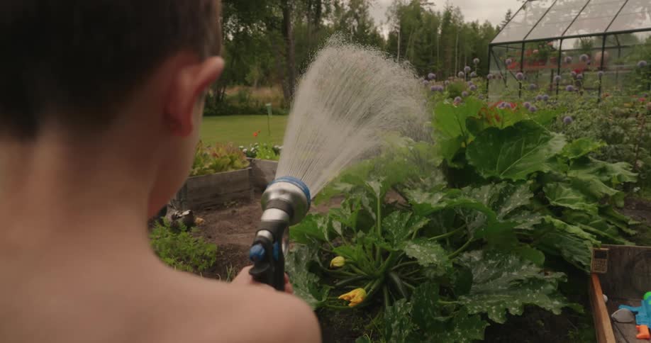 A child is watering the garden
