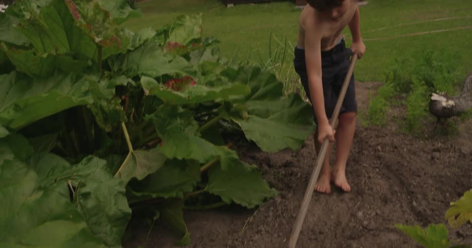 A child is raking the dirt in the garden