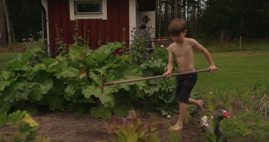 Boy weeding the garden in a backyard