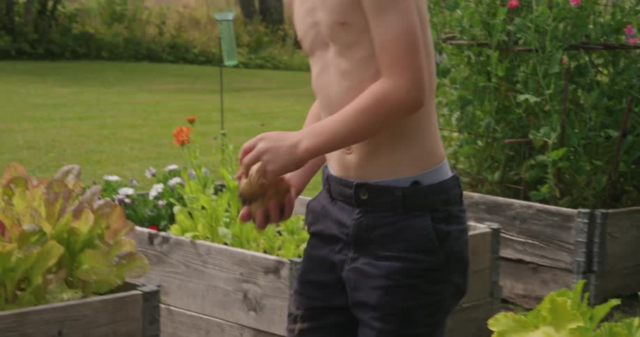 A young boy digs out a potato from a planter then gets up and throws it