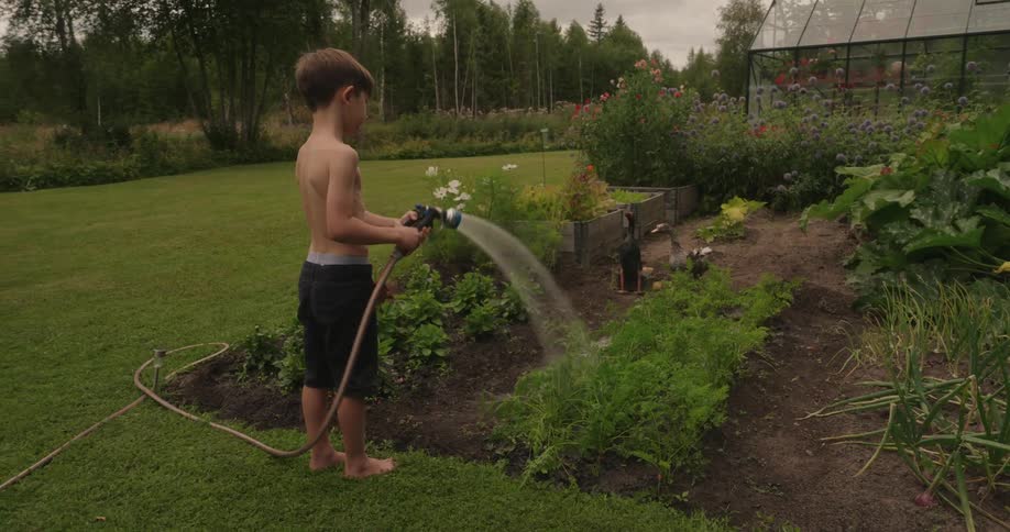 Boy holding a hose and pouring a stream of water over a vegetable garden