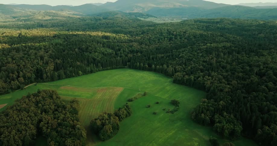 Aerial panorama of a field with forests and mountains in the background