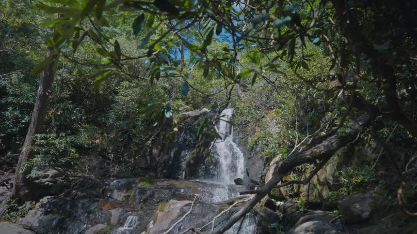 A waterfall pours over a rockface in a dense forest