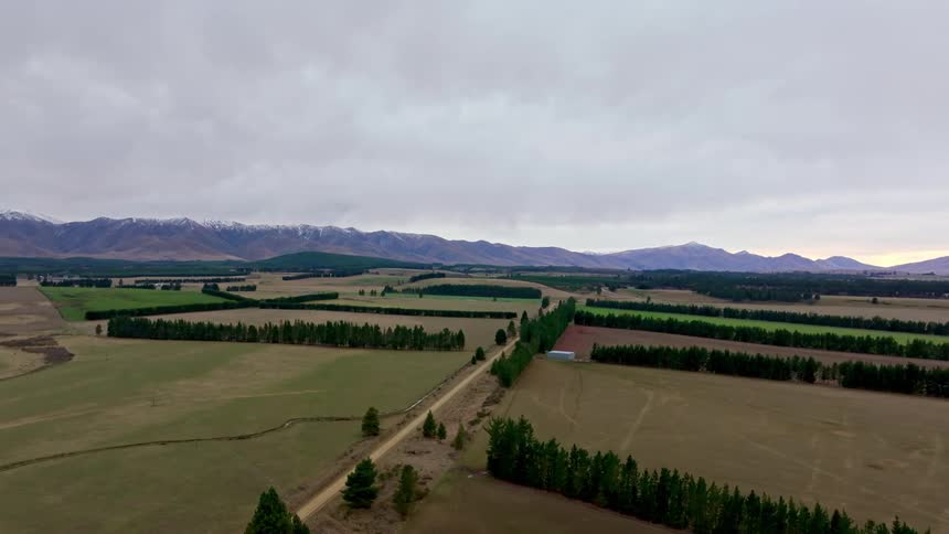 Aerial landscape of fields divided by conifers and mountains on the horizon