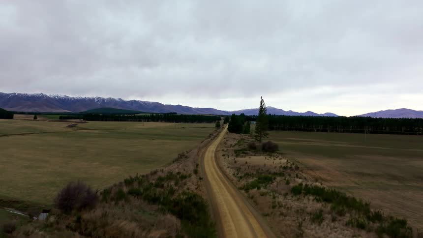 Dirt road cutting through a vast open field with rows of trees on either side