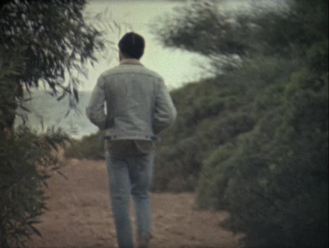 A person walks down a narrow dirt path flanked by vegetation captured on vintage film