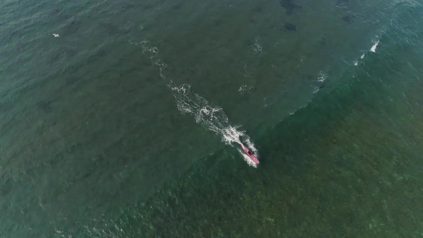 Person on a longboard surfing a wave