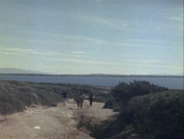 Four people walk on a dirt path surrounded by vegetation heading towards a body of water under a clear sky