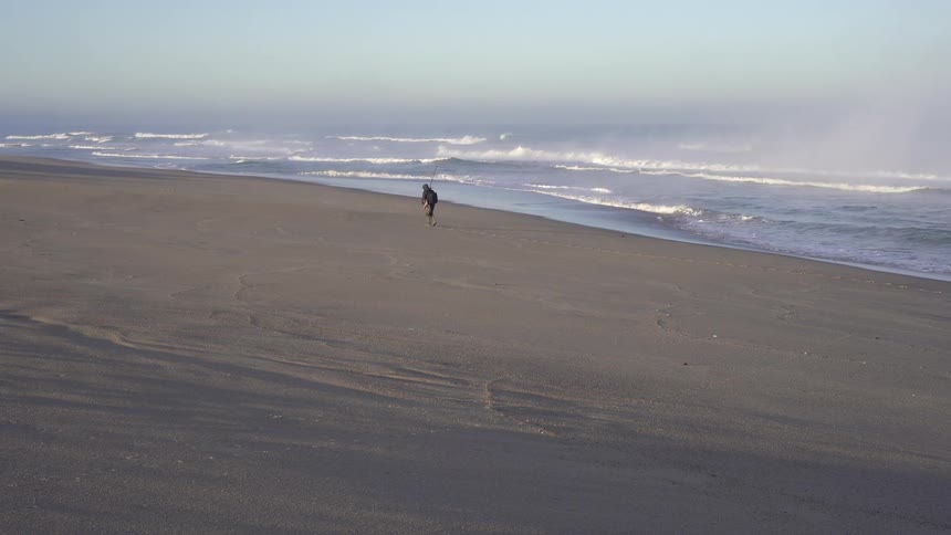 A person walks along the shore