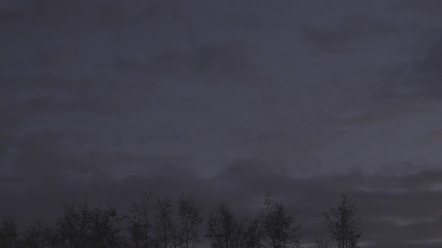 grey_day_03_tilt_up_01