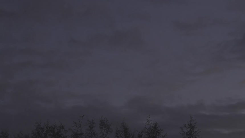 grey_day_04_tilt_up_02