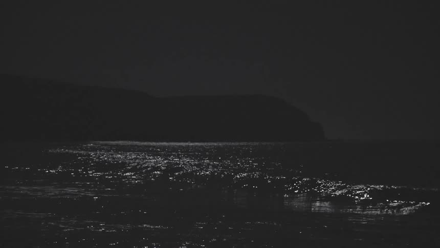 Waves reflect the moonlight while flowing onto the beach at night