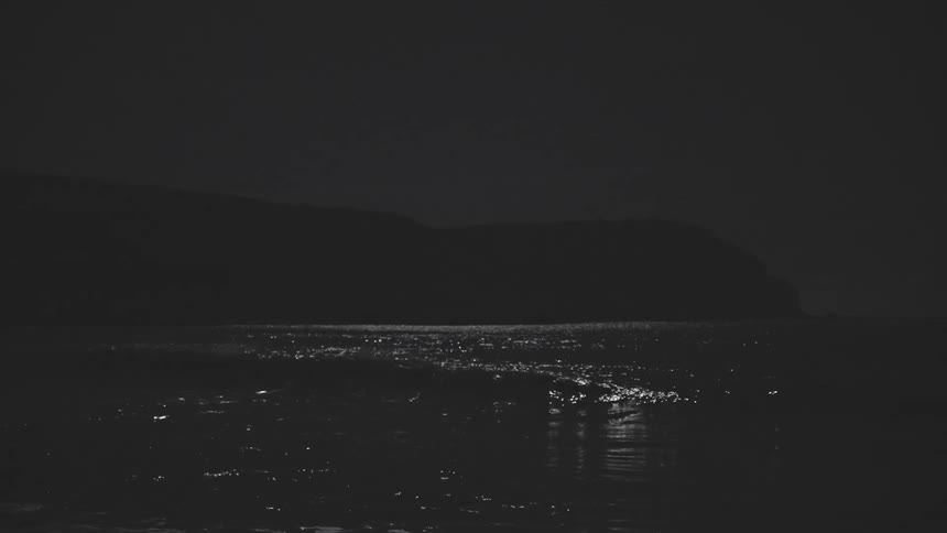 Waves reflect the moonlight as they roll onto the beach at night