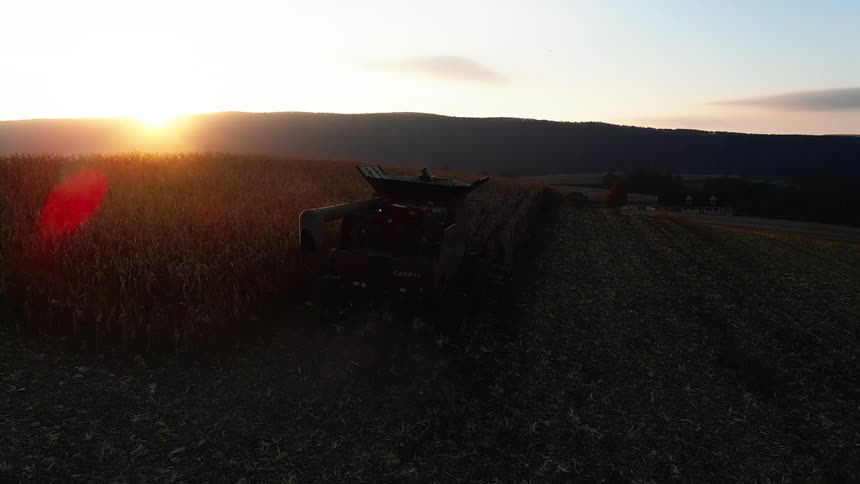 Agricultural machine harvests crops on a farm as the sun peeks over a nearby hill