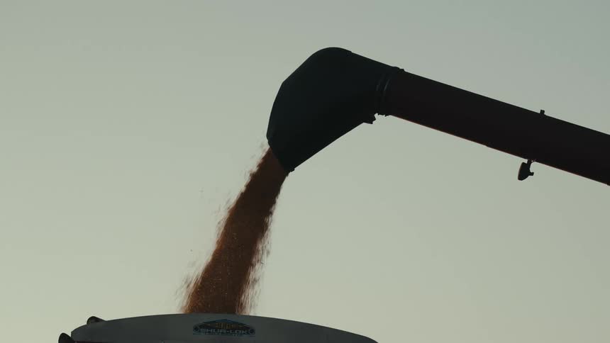 A machine pours grain into a truck
