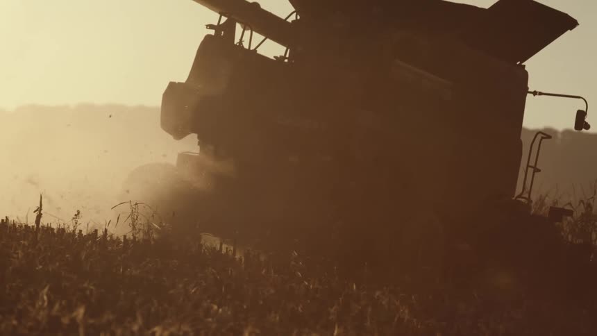 A farming combine kicks crops behind it as it plows a field at dawn