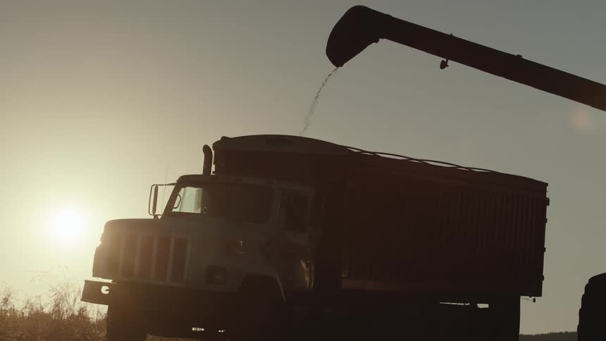 Harvester machine pouring grain into a truck with golden sun on the horizon