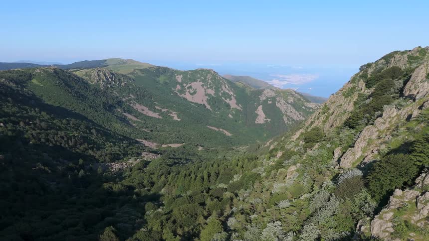 Aerial view of a mountain range covered with trees