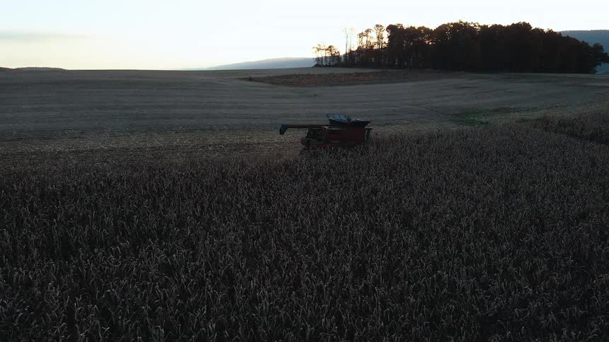 A combine harvester in a field during dawn or dusk with a clear sky