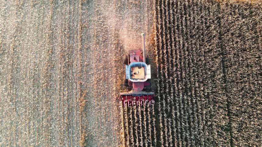 Aerial view of a machine collecting grain in an agricultural field