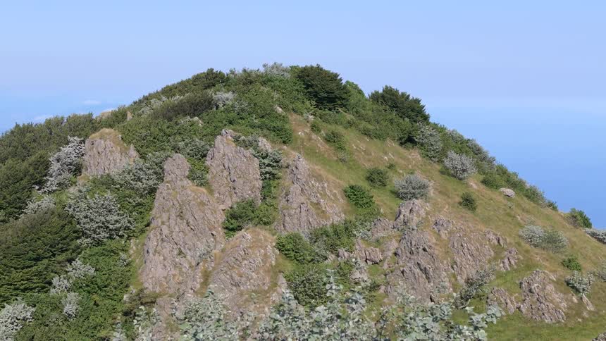 Aerial panorama of mountains with vegetation on the edge of an ocean