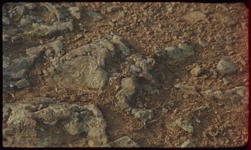 Irregular surface composed of stones and clay