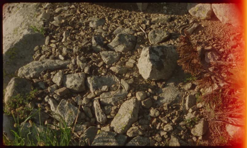 Variety of stones and gravel of different sizes scattered across the ground