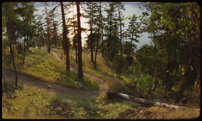 Person running down a forest trail by a lake