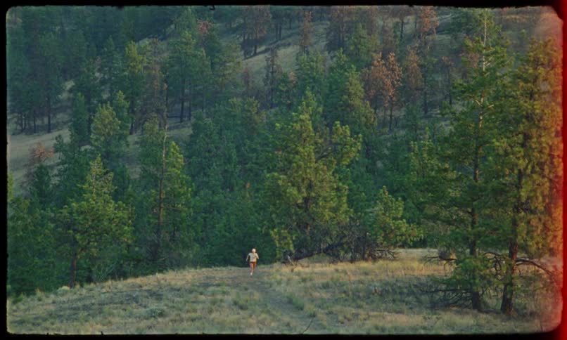 Natural landscape with evergreen trees on a sloping terrain and a person running
