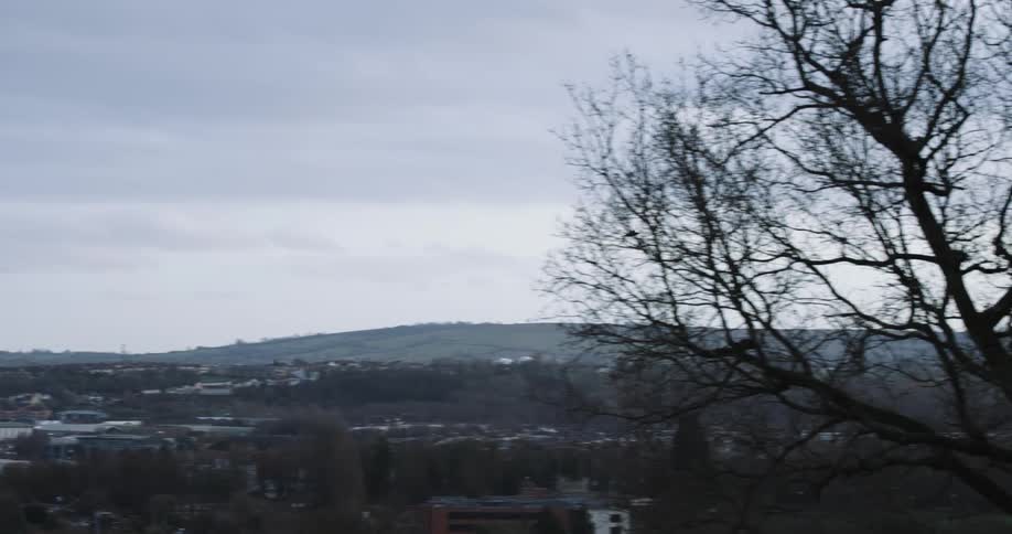 Bird flying above a hilly terrain with a tree in the foreground