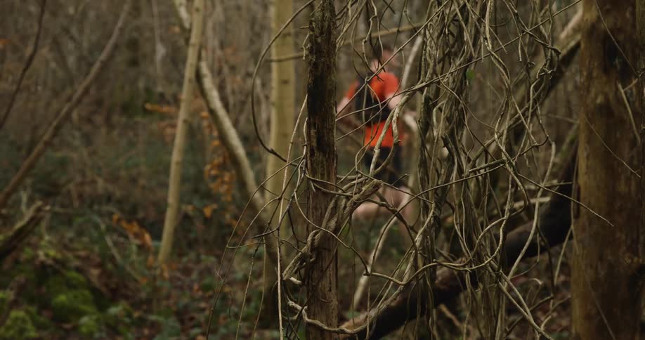 Male jogger runs along a path passing through the woods