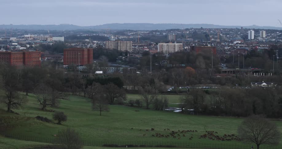 A city with medium buildings and a large park with grass and trees in front and there are some animals feeding on the grass