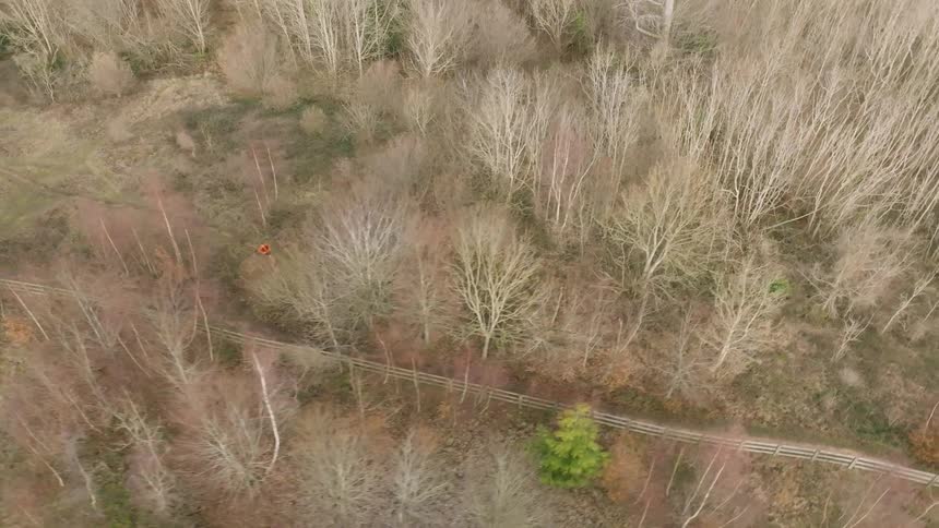 Aerial view of a person running in a dry forest
