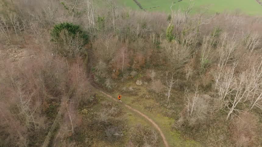 A lone runner in an orange jacket makes their way along a winding path through a sparse forest