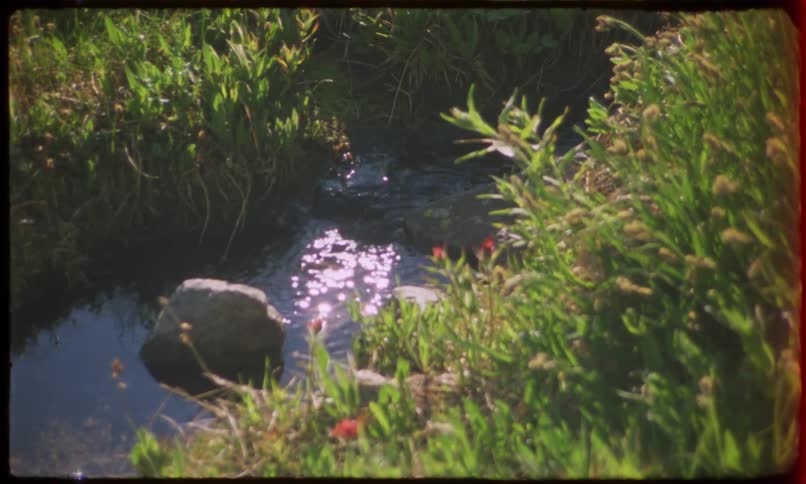 Stream with flowing water surrounded by vegetation reflecting the sun
