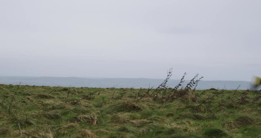 Male jogger runs through a coastal field on an overcast day