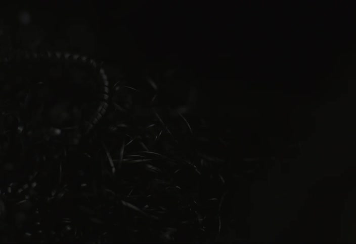 Close up of metal wires against a black background