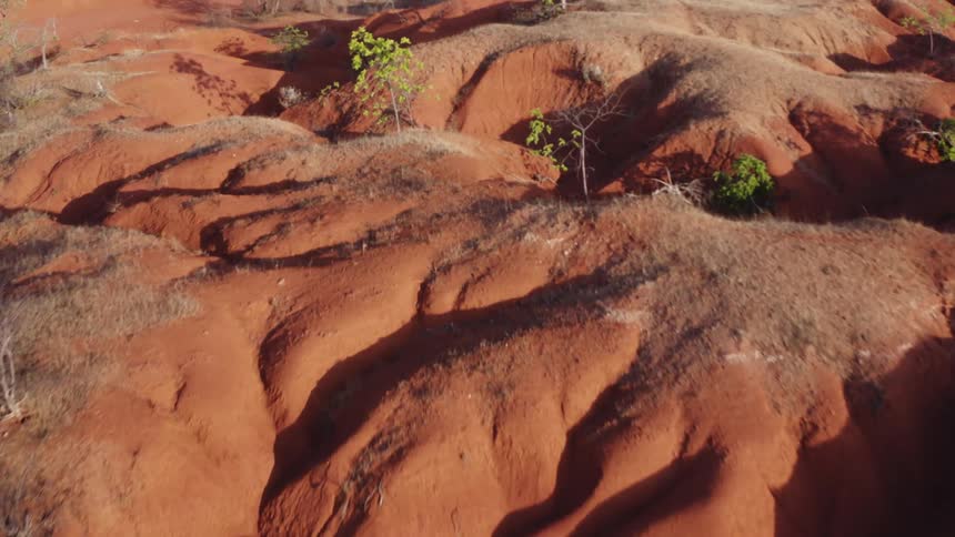 An aerial view of a red and brown canyon landscape with scattered vegetation
