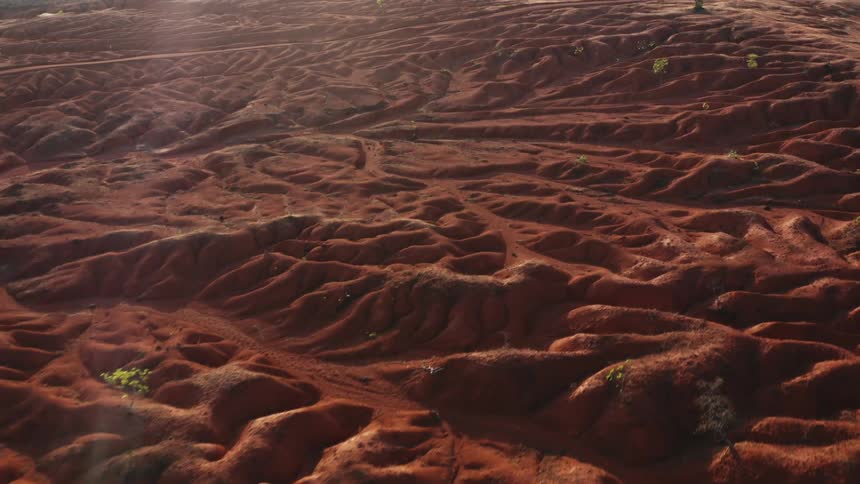 Landscape view of reddish soil with intricate patterns of ridges and valleys and sparse vegetation
