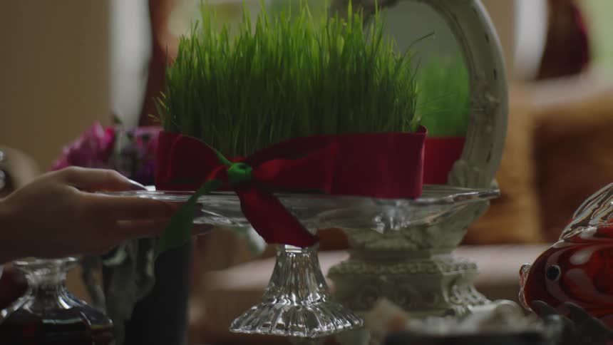 Hand placing a green plant on an altar in front of a small mirror