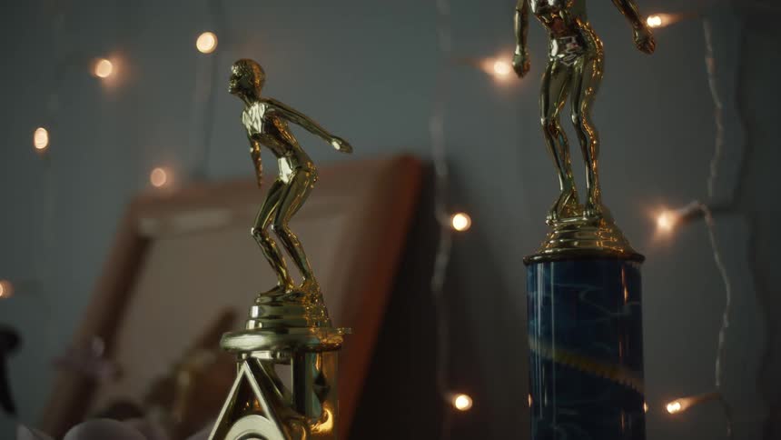 Two trophies on a shelf