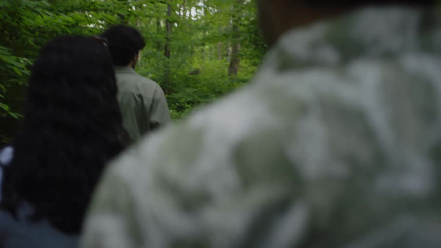 Group of friends walking through the forest
