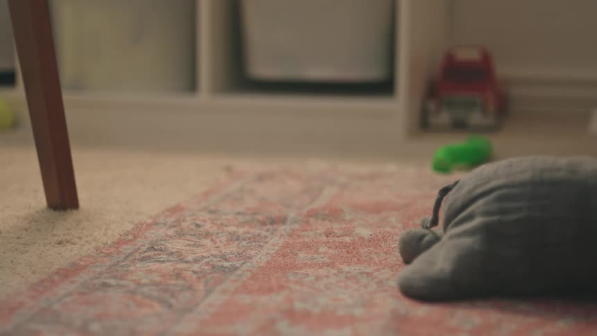 Toys falling on the carpet